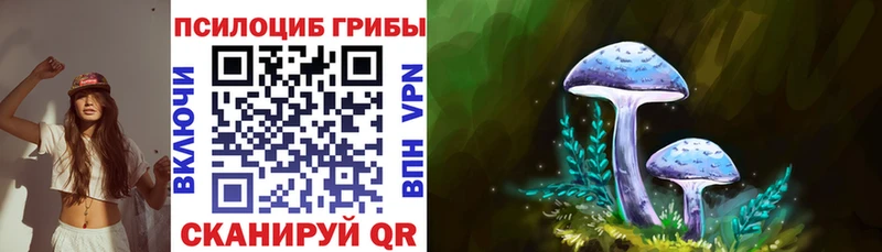 Купить где  Апрелевка  Псилоцибиновые грибы ЛСД 